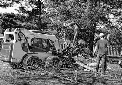 Bobcat Clearing Fallen Tree